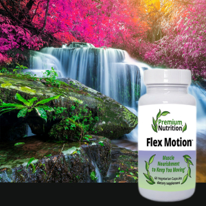 Flex Motion Nourish Muscles - Healthy Way