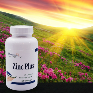 Zinc Plus