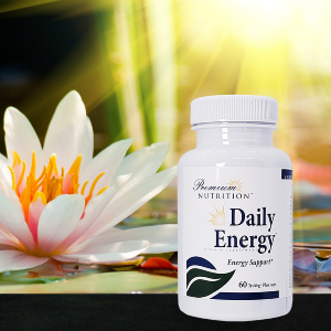 Daily Energy