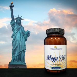 Joint Supportive Mega 530