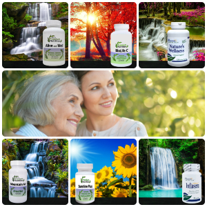 Quercetin Quercetin