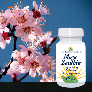 MEGAZ MEGAZ