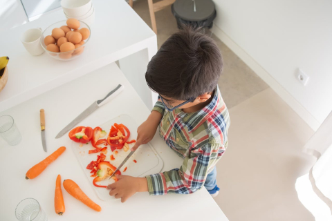 Orange Carrot Evolution